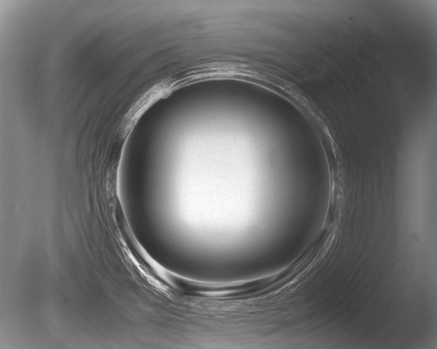 X0000086311385200703301139