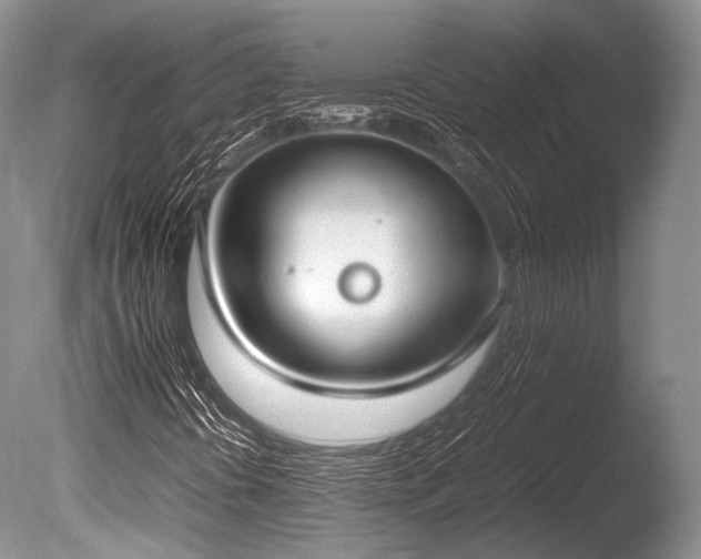 X0000086311394200703301138