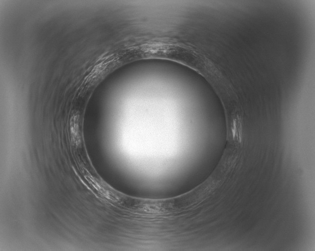 X0000086311396200703301138