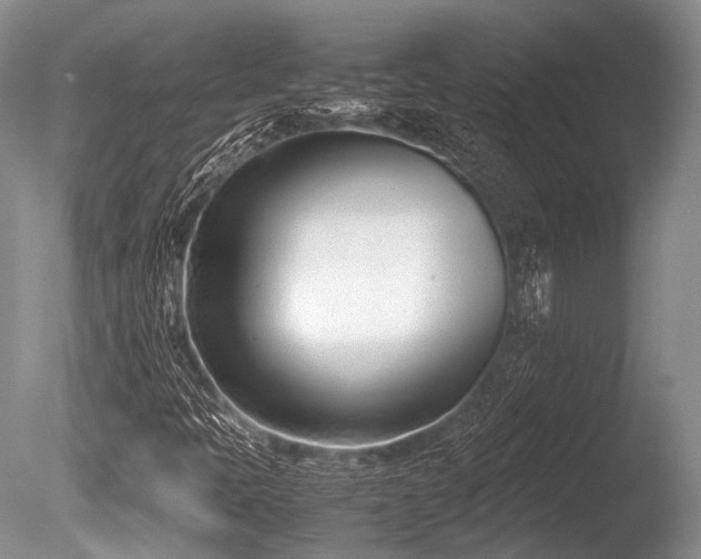 X0000086311397200703301138