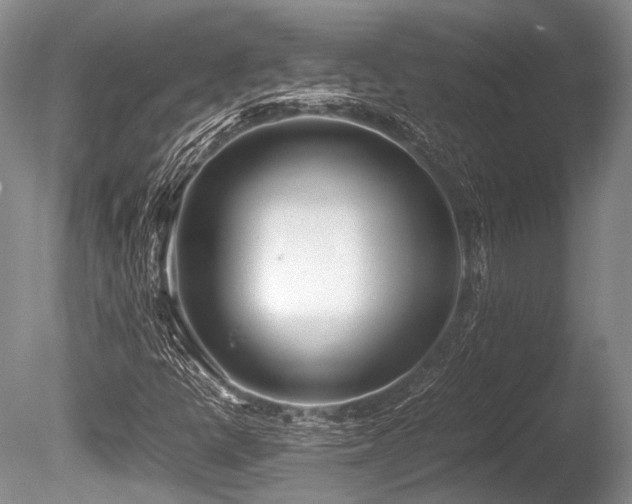 X0000086311398200703301138