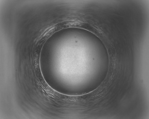 X0000086311399200703301138