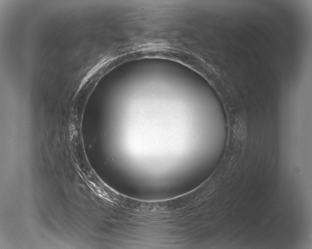 X0000086311400200703301138