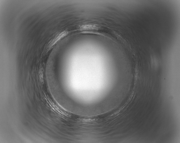 X0000086311401200703301138