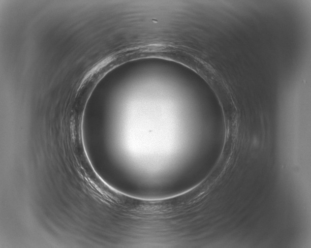 X0000086311402200703301138