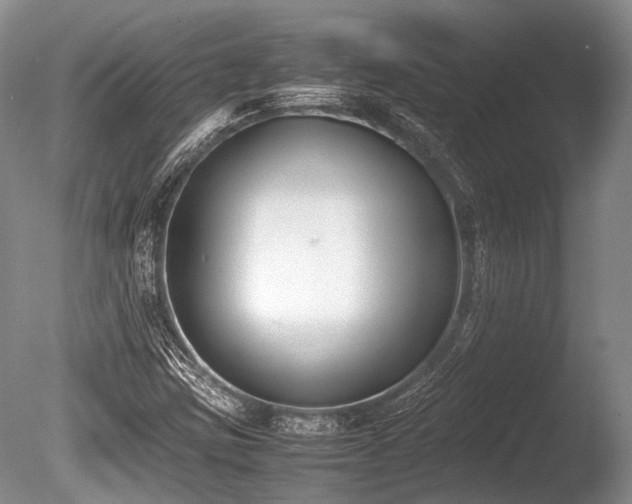 X0000086311403200703301138