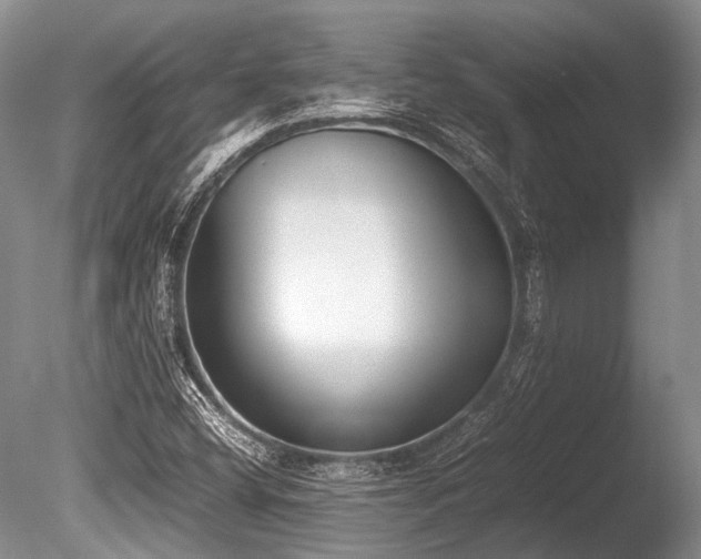 X0000086311404200703301138