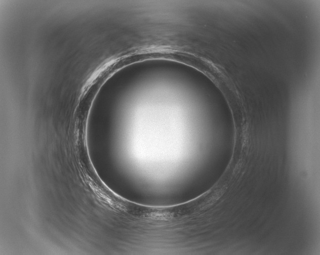 X0000086311406200703301138