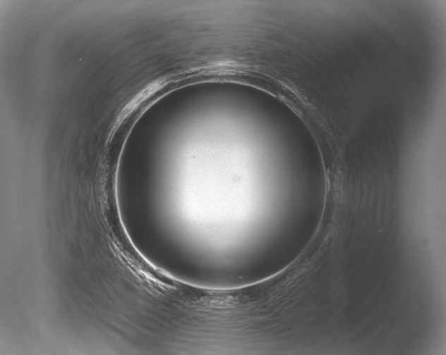 X0000086311410200703301138