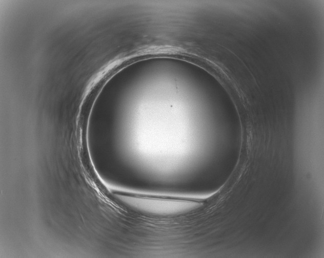 X0000086311414200703301138