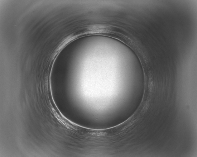 X0000086311417200703301139