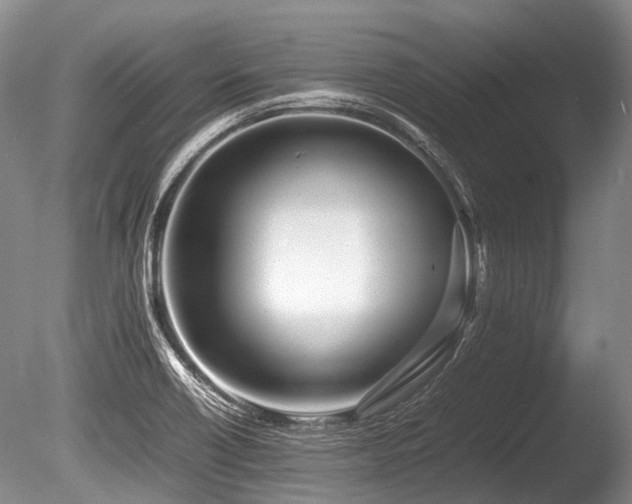 X0000086311418200703301139