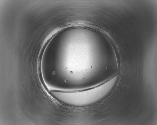 X0000086311424200703301139