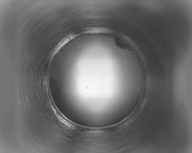 X0000086311425200703301139
