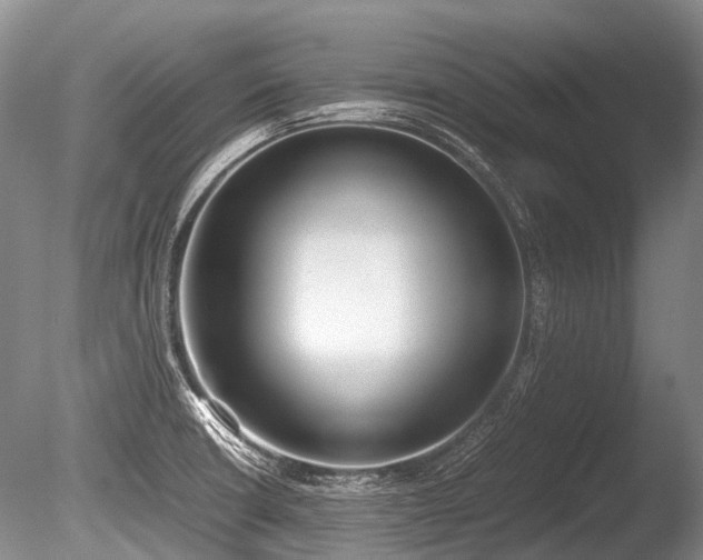 X0000086311426200703301139