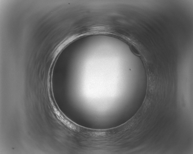 X0000086311431200703301139