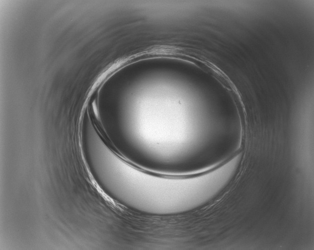 X0000086311437200703301139