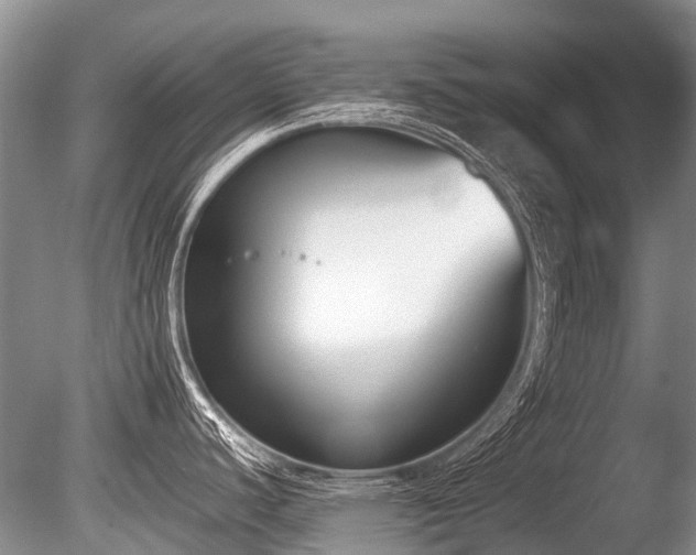 X0000086311440200703301139