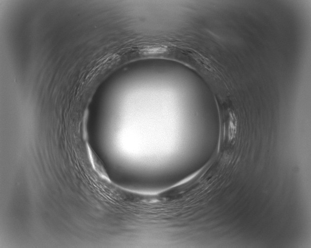 X0000086311441200703301138