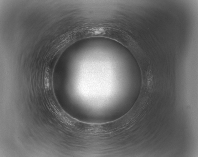 X0000086311442200703301138