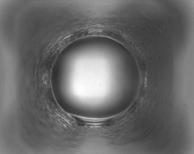 X0000086311445200703301138