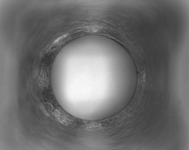 X0000086311446200703301138