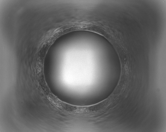 X0000086311447200703301138