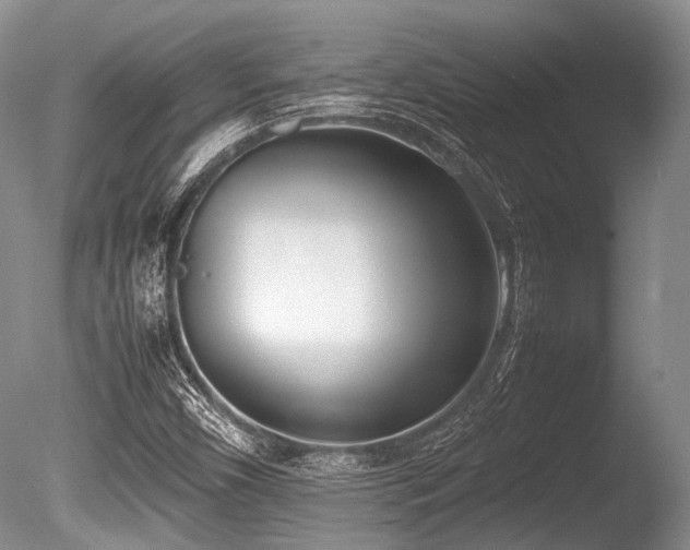 X0000086311450200703301138