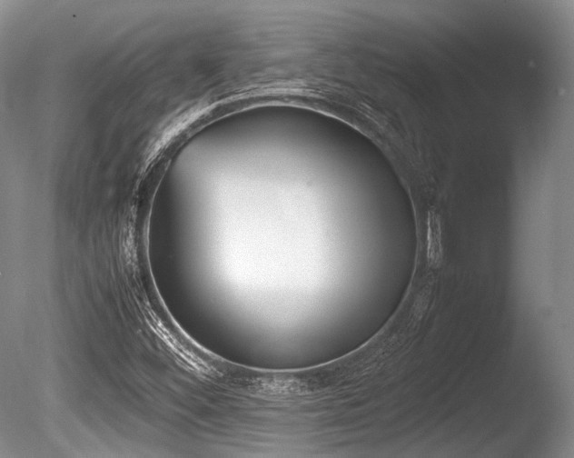 X0000086311452200703301138