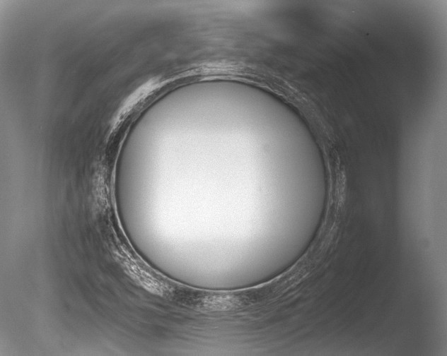 X0000086311454200703301138