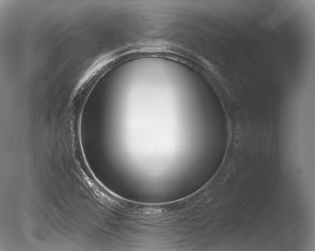 X0000086311456200703301138