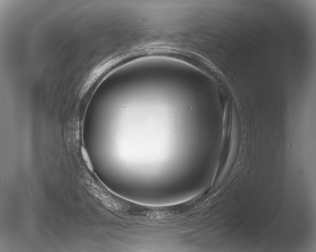 X0000086311461200703301138