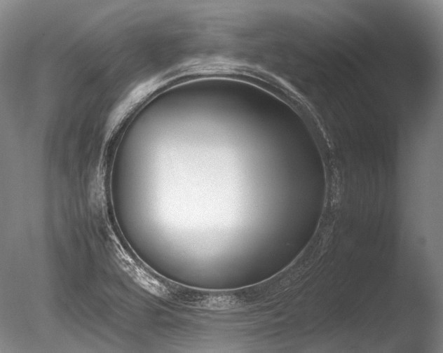 X0000086311464200703301138