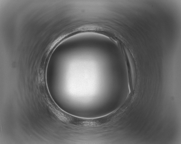 X0000086311465200703301138