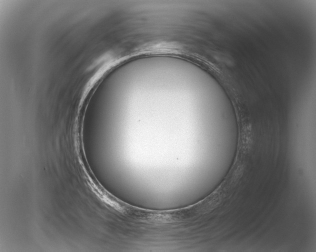 X0000086311470200703301138