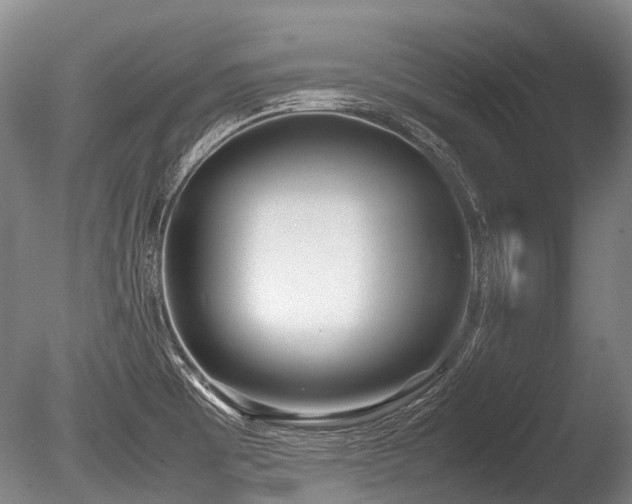 X0000086311473200703301138