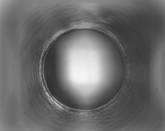 X0000086311480200703301137
