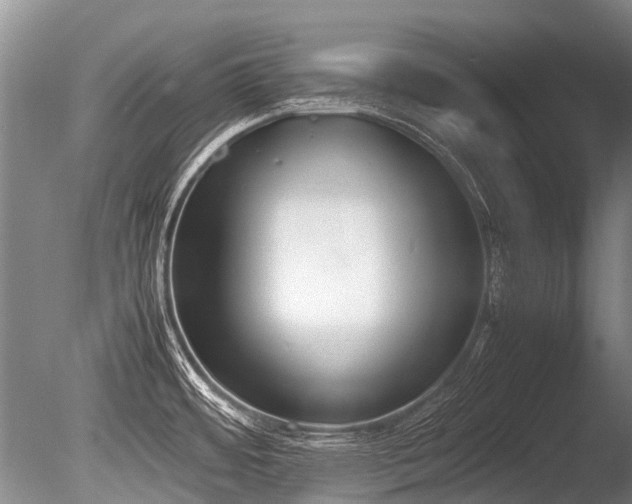 X0000086311484200703301137