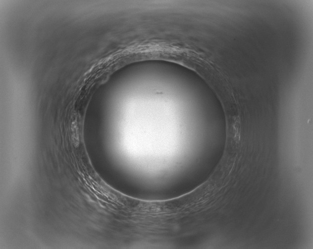 X0000086311493200703301137