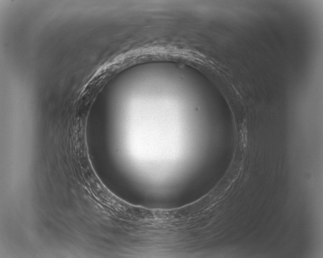 X0000086311494200703301137