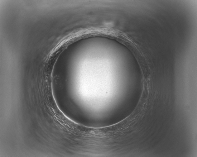X0000086311496200703301137