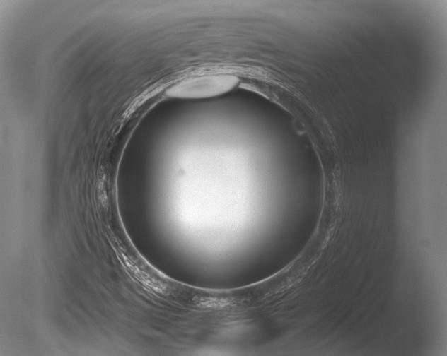 X0000086311497200703301137