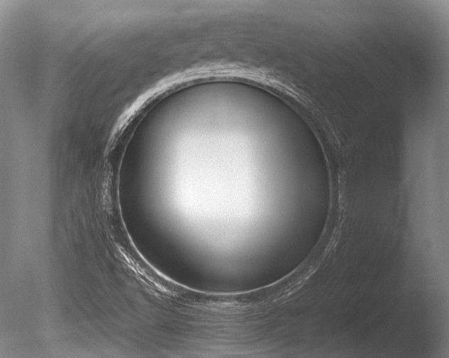 X0000086311502200703301137