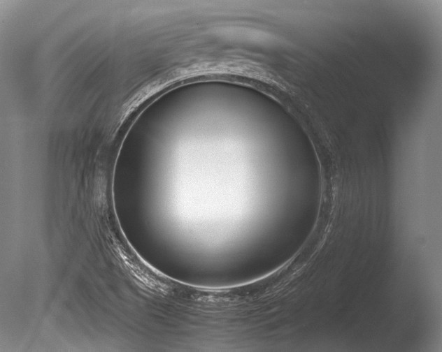 X0000086311505200703301137