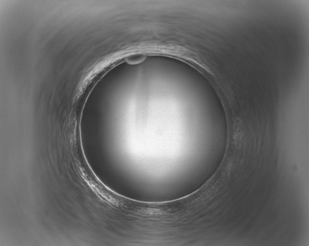 X0000086311507200703301137
