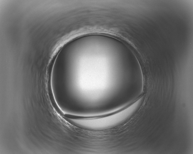 X0000086311508200703301137