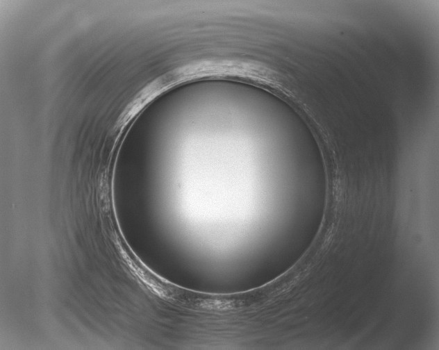 X0000086311521200703301137