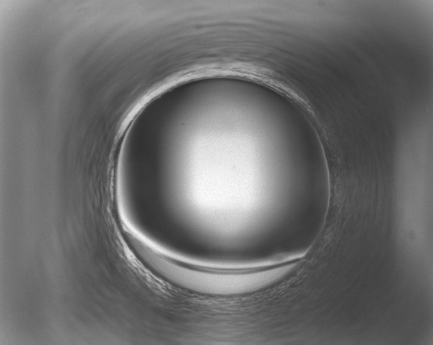 X0000086311524200703301137