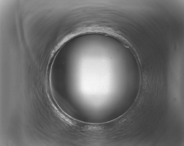 X0000086311525200703301137