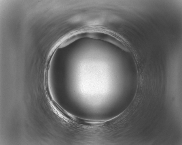 X0000086311528200703301137